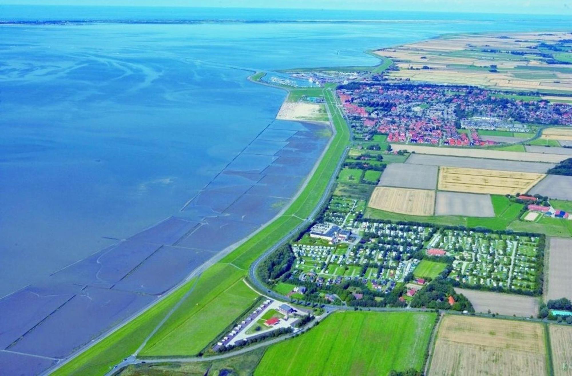 Grosse Nordseewelle Ohne Hund Norden Zewnętrze zdjęcie