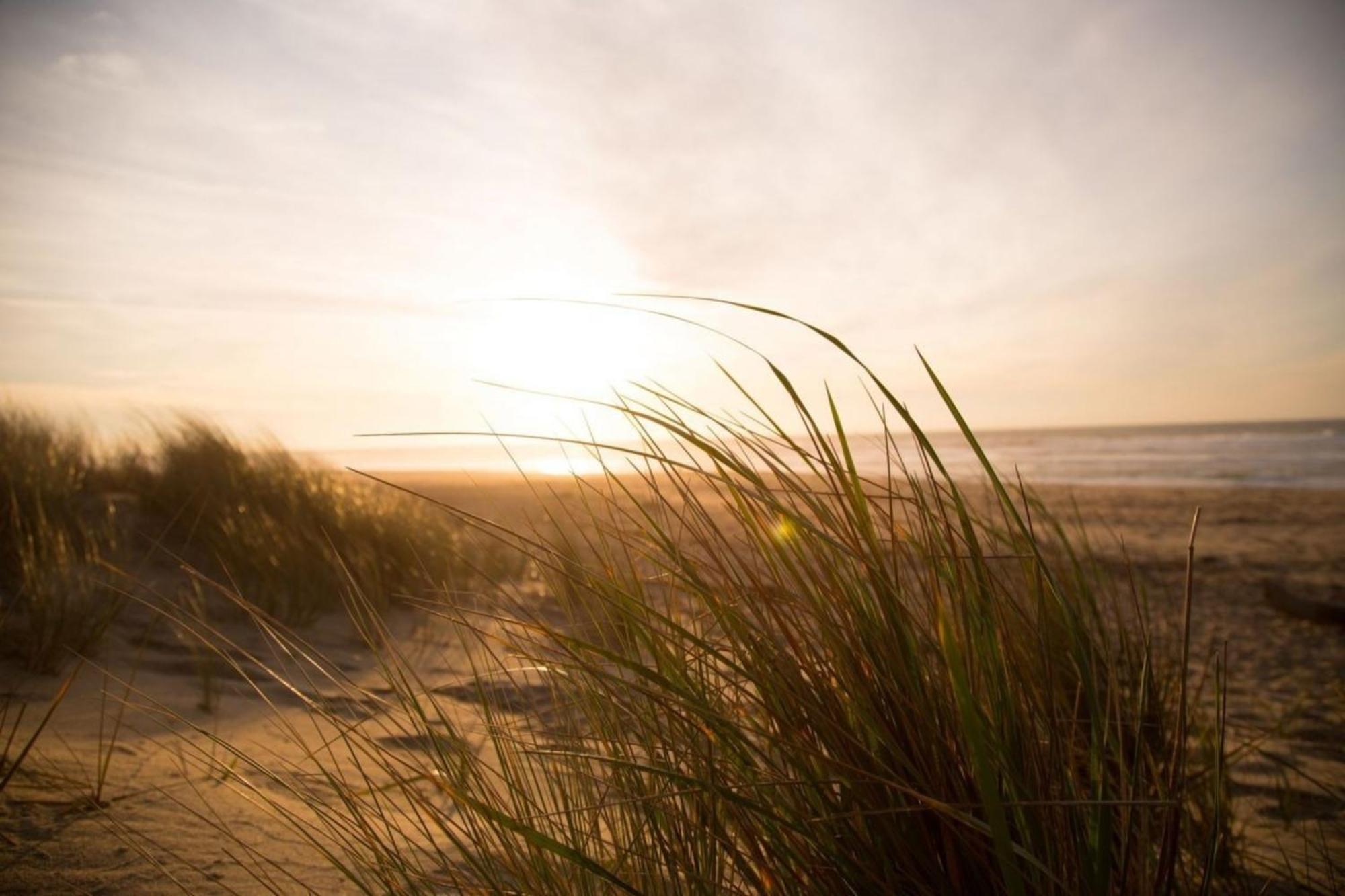 Grosse Nordseewelle Ohne Hund Norden Zewnętrze zdjęcie
